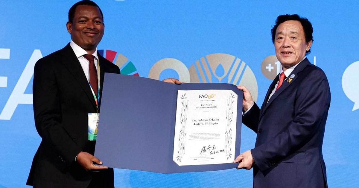 Arba Minch University Researcher's Decade of Work Aims to Bring Enset From the Lab to Wider Markets